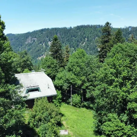 Historisches Schwarzwald-maerchenhaus In Alleinlage Apartmán Hinterzarten