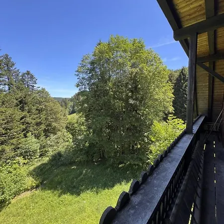 Historisches Schwarzwald-maerchenhaus In Alleinlage Hinterzarten