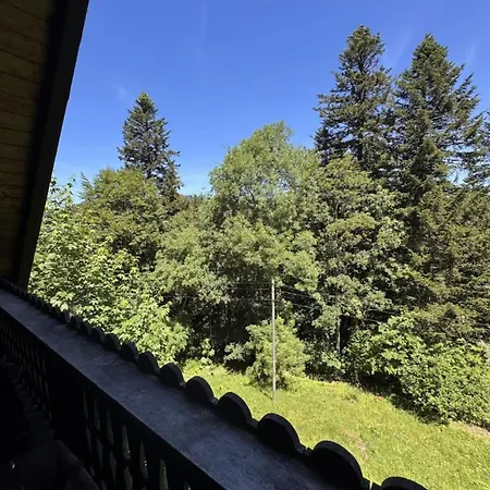 Historisches Schwarzwald-maerchenhaus In Alleinlage Hinterzarten