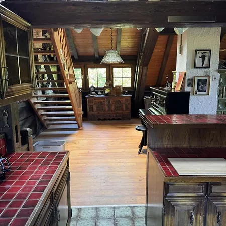 Historisches Schwarzwald-maerchenhaus In Alleinlage Apartmán
