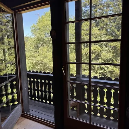 Historisches Schwarzwald-maerchenhaus In Alleinlage Apartmán Hinterzarten