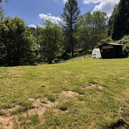 Historisches Schwarzwald-maerchenhaus In Alleinlage * Hinterzarten