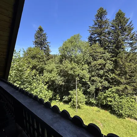 Historisches Schwarzwald-maerchenhaus In Alleinlage