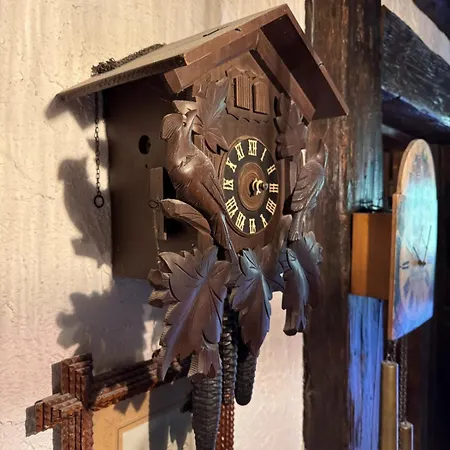 Historisches Schwarzwald-maerchenhaus In Alleinlage Appartement