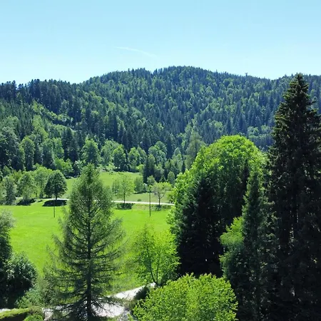 Appartement Historisches Schwarzwald-maerchenhaus In Alleinlage Hinterzarten