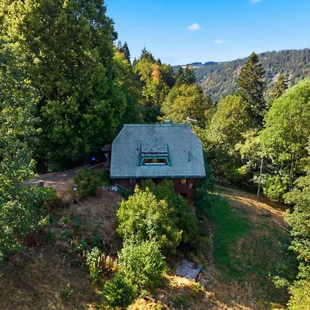 Apartment Historisches Schwarzwald-märchenhaus In Alleinlage