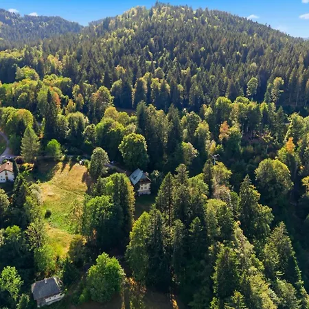 Historisches Schwarzwald-maerchenhaus In Alleinlage *